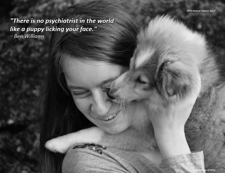 puppy licking face.png