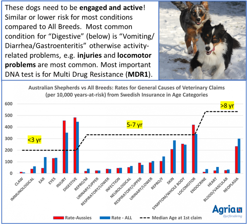 IPFD WSAVA article image 27 Oct 2020.png