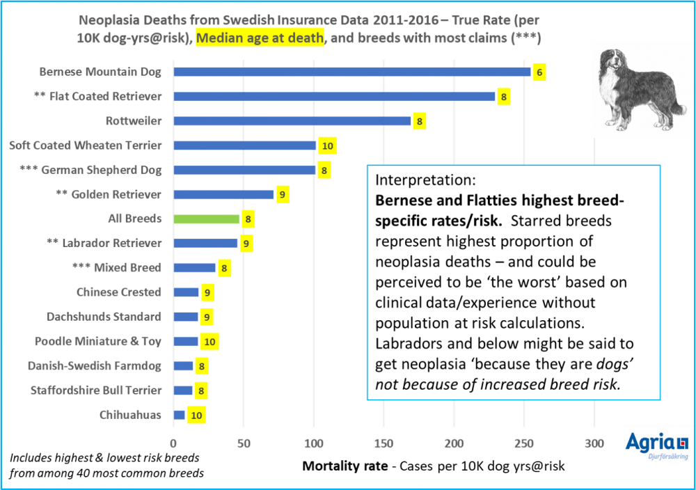 IPFD_statistics-on-cancer-in-dog-breeds.png