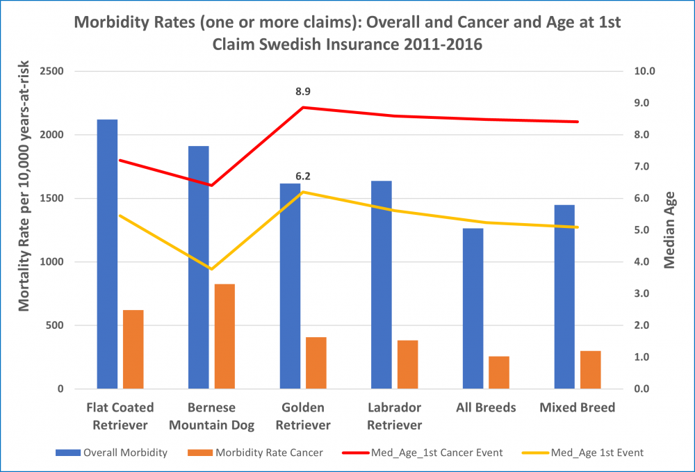 Morb overall cancer breeds age.png