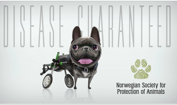 norwegian lawsuit graphic.png