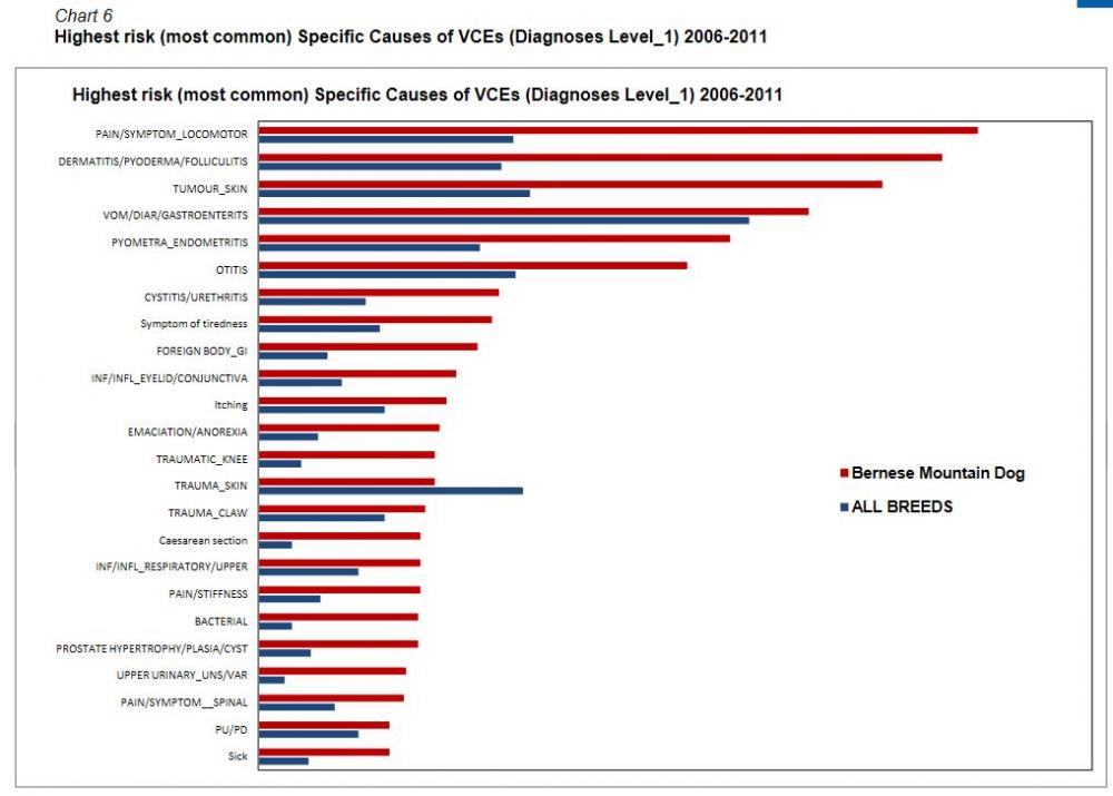 agria -bmd vce level 1 -06-11.JPG
