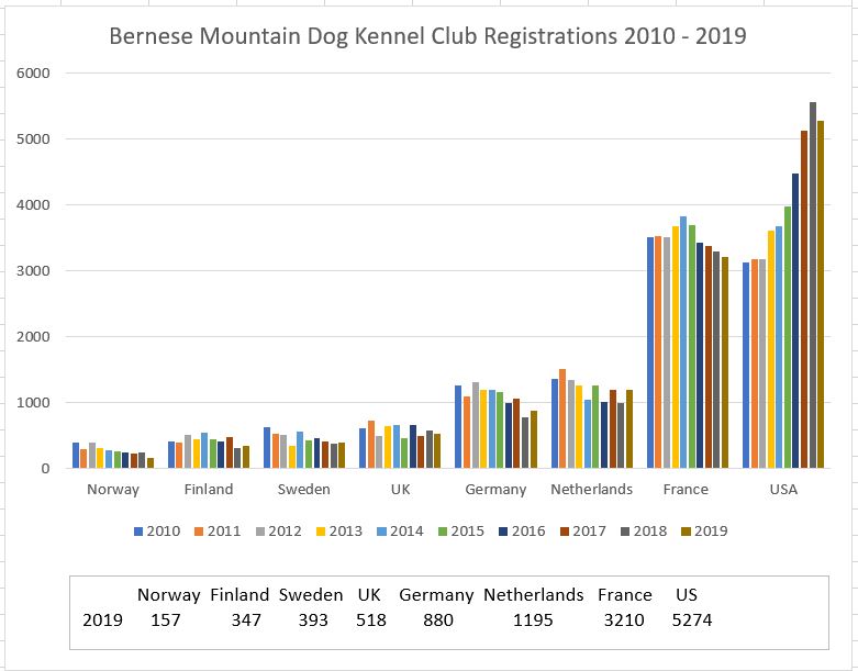 registrations bmd bb.JPG