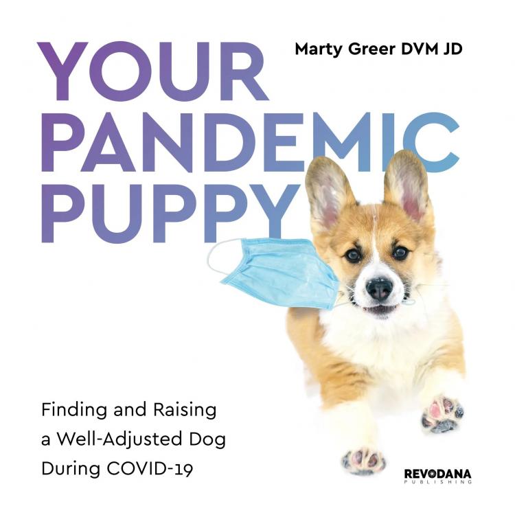 Pandemic Puppy.jpg