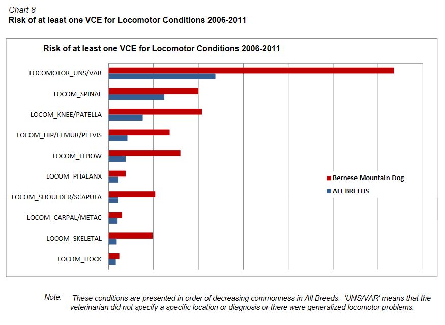 agria 06-11 bmd locomotor vce.JPG