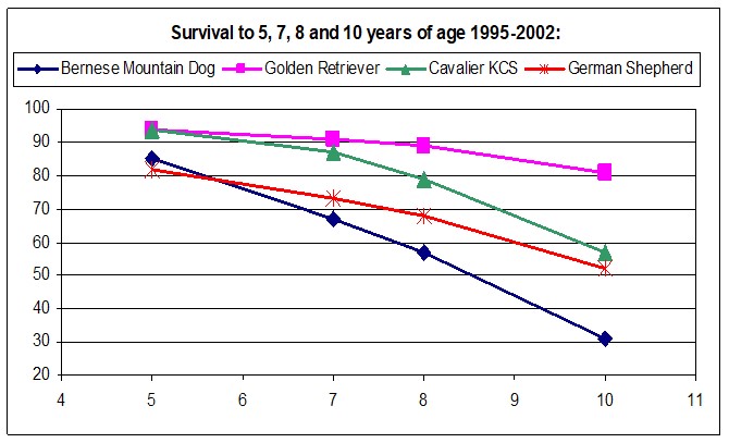 Agria - berner survival.jpg