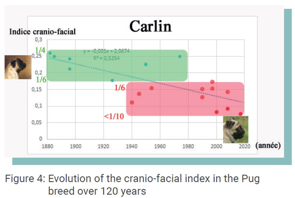 carlin 1880s-2020 CFR.JPG