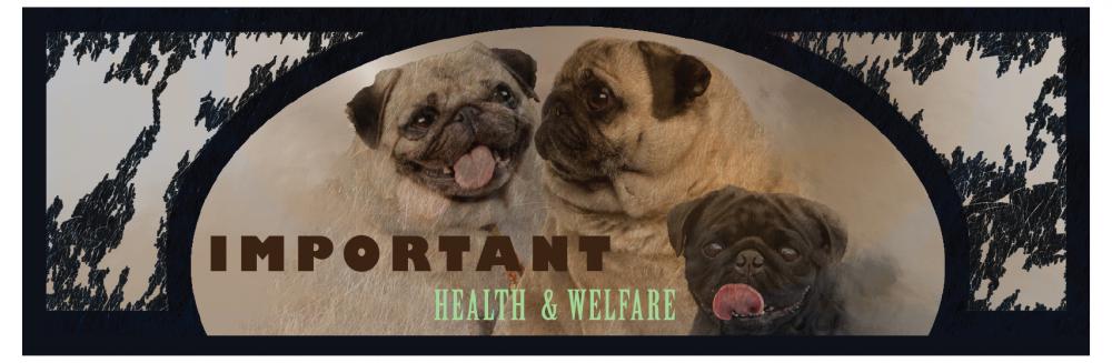 pughealth&welfare-important.jpg