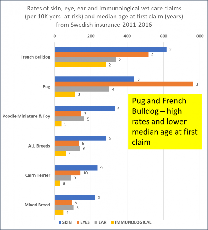Pugs et al skin eye etc.png