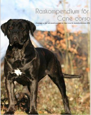 raskompendium cane corso.JPG