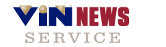 VinNewsServiceLogo.png