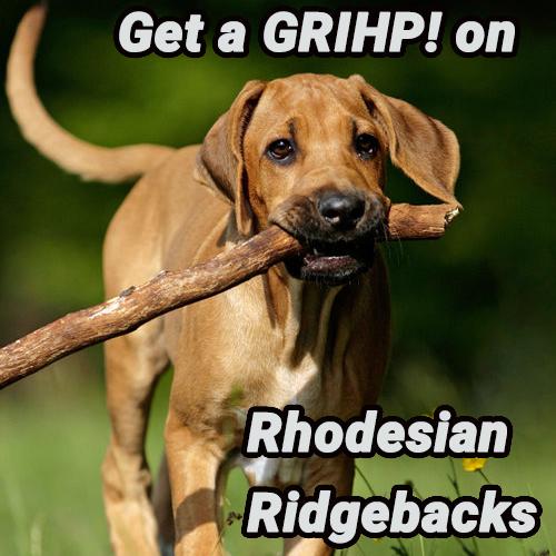 rr---get-a-grihp-article-img.jpg