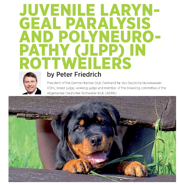 jlpp-pf- rottweiler.PNG