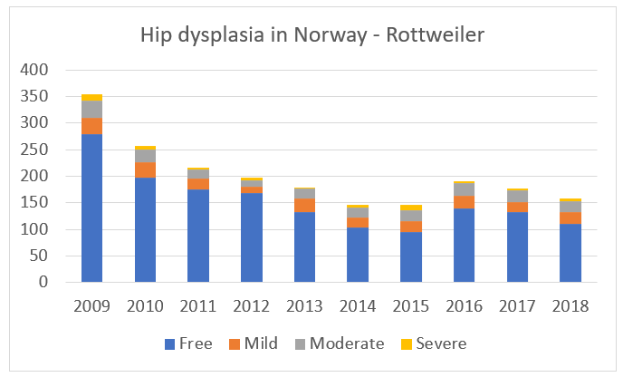 rottweiler hd norway.PNG