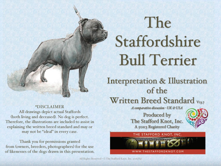 sbt-staffie knot.PNG