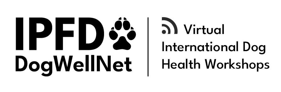 v1 virtual IDHW logo-01.png