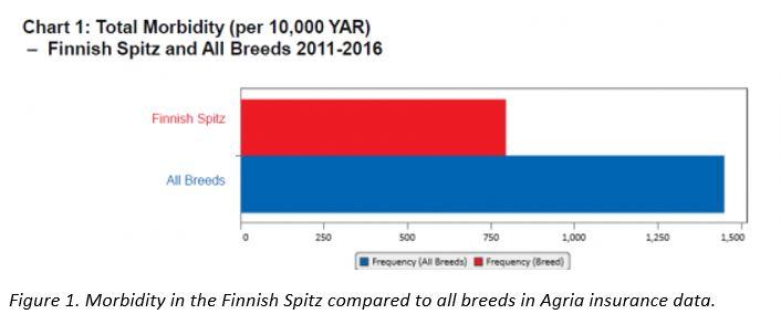 finnish spitz agria total morbidity km.JPG