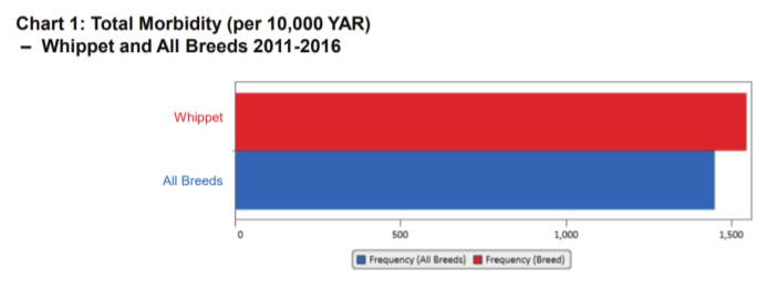 whippet-agria morbidity 11-16.PNG