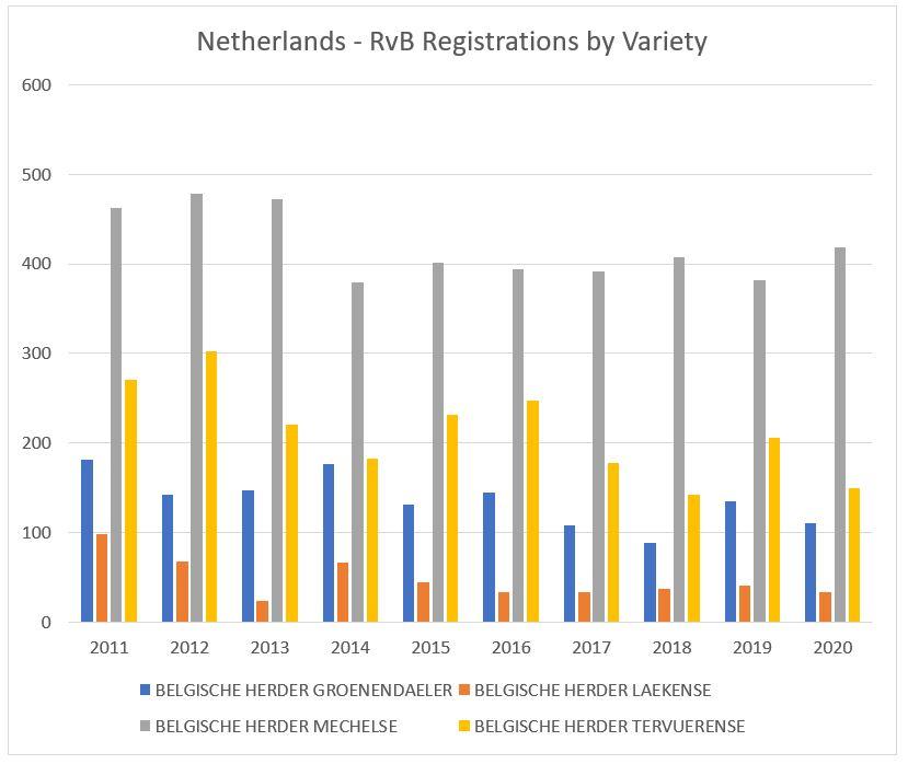 belgian shepherd by variety rvb.JPG