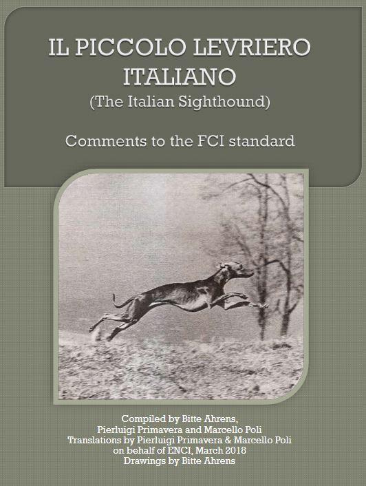 italian greyhound - comments on breed standard.JPG