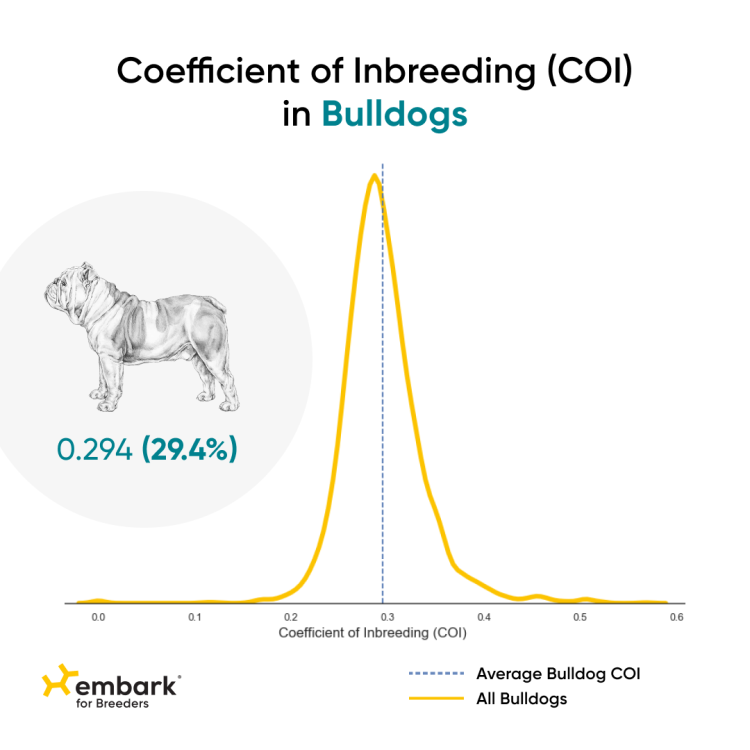 Embark COI - Bulldog - January 21 2022.png