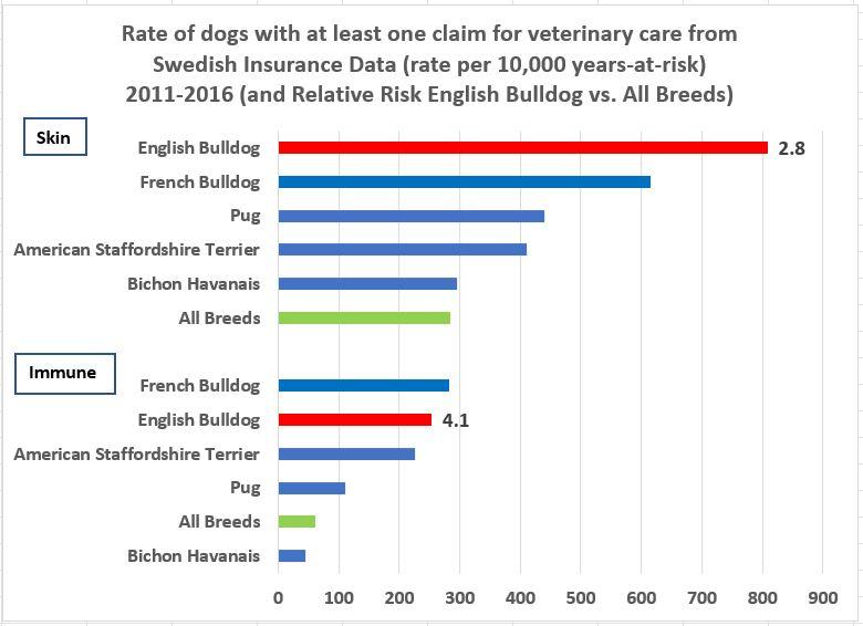 eb-skin-immune comp.JPG