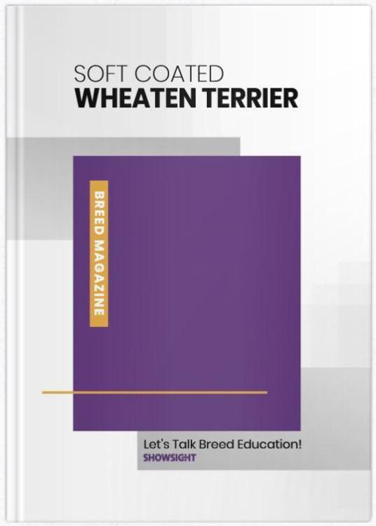 ISCWT Showsight - let's talk breed education.JPG