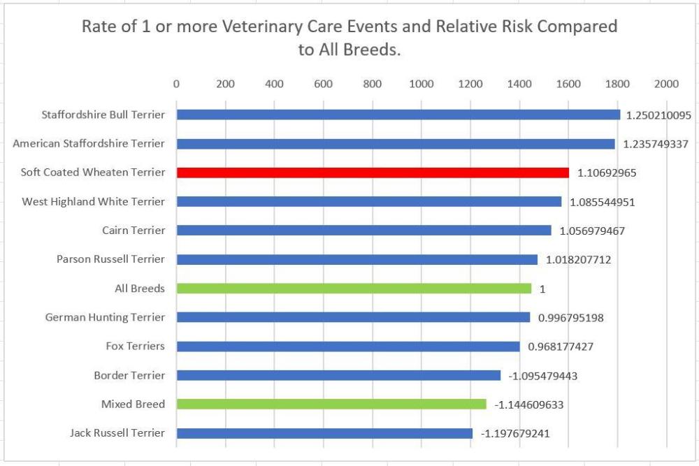 wheaten terrier compared to other breeds agria VC 11-16.JPG