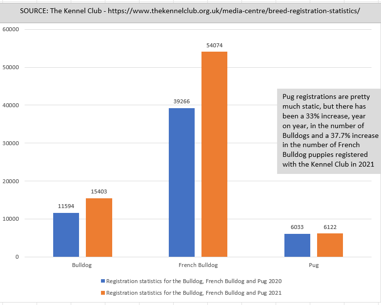 pug bd fbd registrations 2020 and 2021.PNG