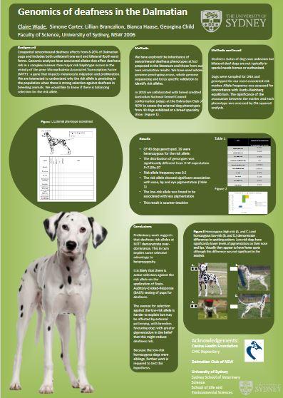 dal deafness 4th idhw poster.JPG