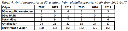 Dalmatian - SW BEAR2.png