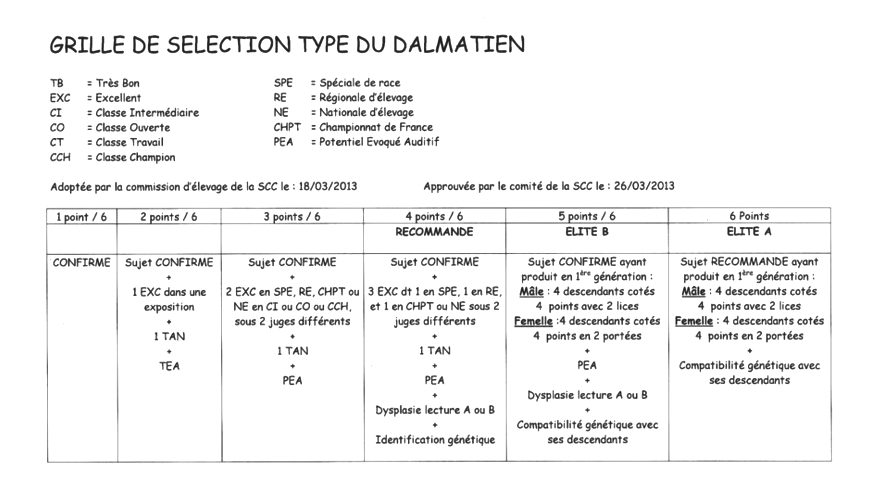 dalmatian---SCC--Grille-de-Cotation.png