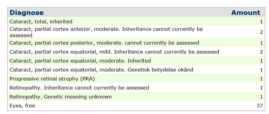border terrier eyes sw.JPG