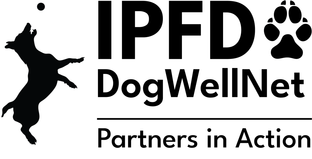 Partners in Action 2020.png