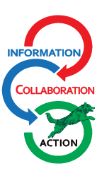 infocollabaction.png