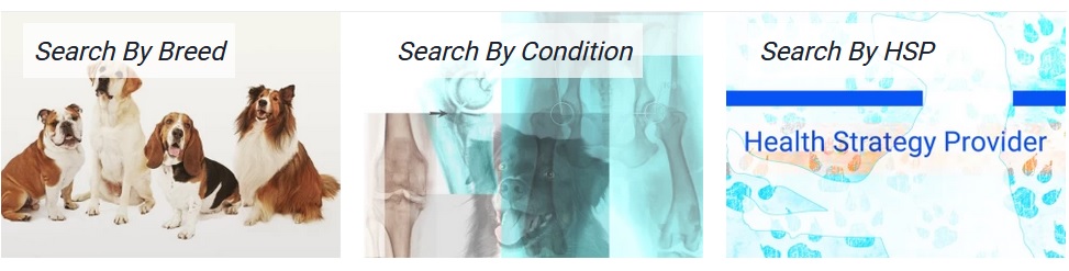 HSDD search screen.jpg