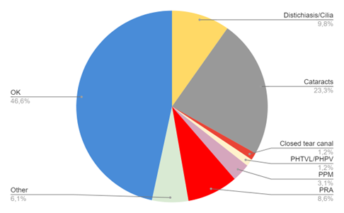 english setter eye 1.png