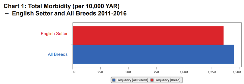 english setter agria 1.png