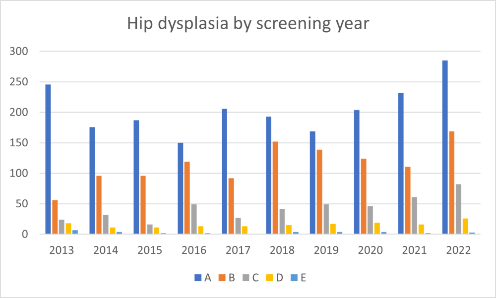 english setter no hd.png