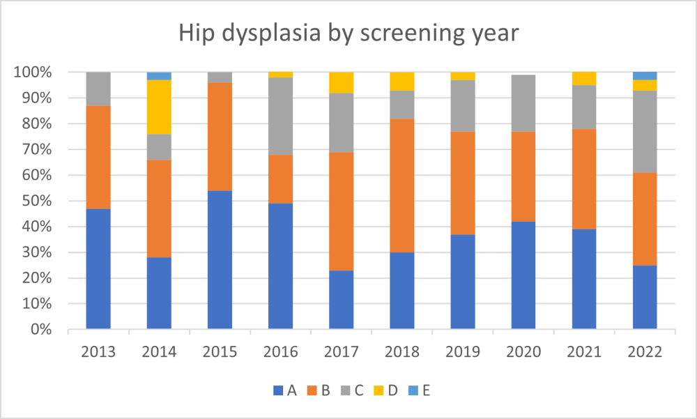 english setter fi hd.png