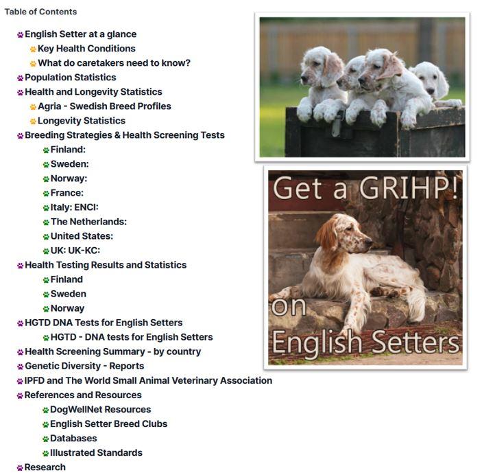 Get a GRIHP! on English Setter