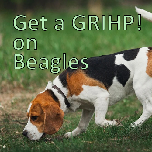 Beagle GRIHP.png