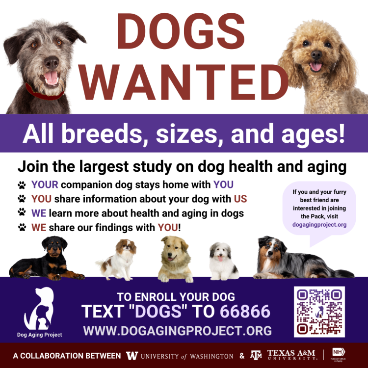 DAP-Dogs-Wanted-Social-Media-Post.png