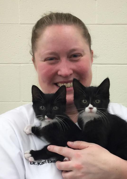 Kari-Kittens-2.jpg