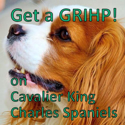 Cavalier GRIHP.jpg