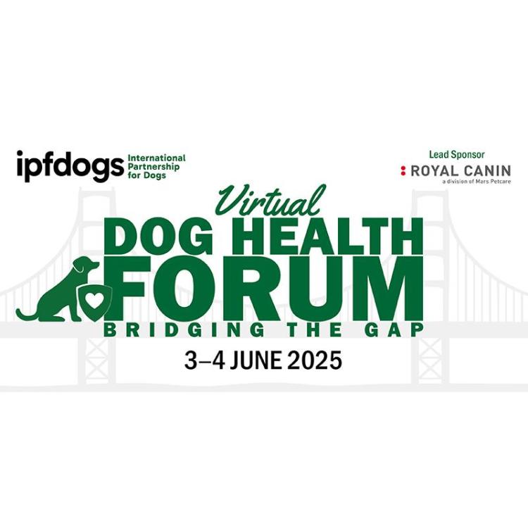 forum logo square.jpg